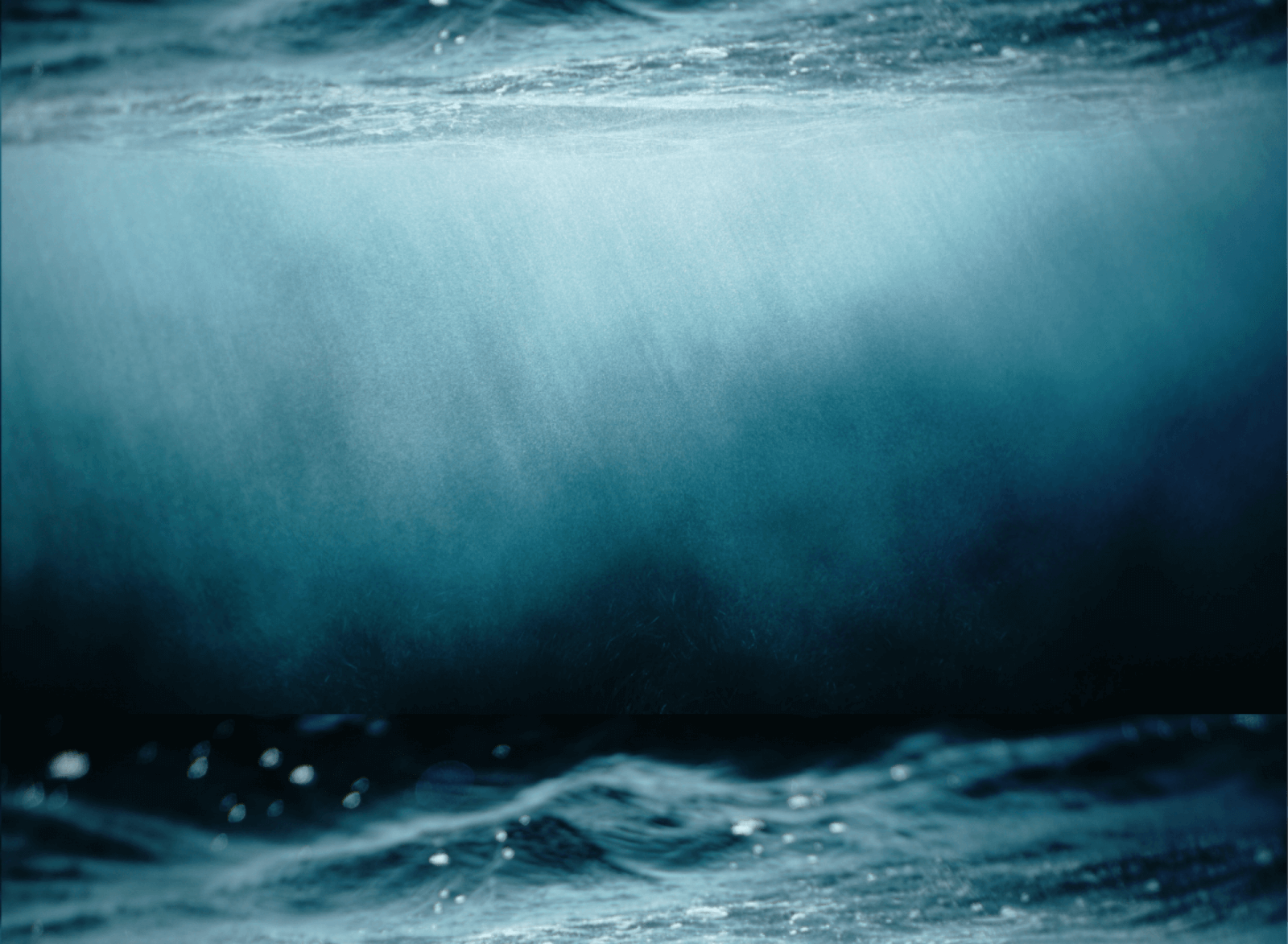 About Us - INSITE North Sea