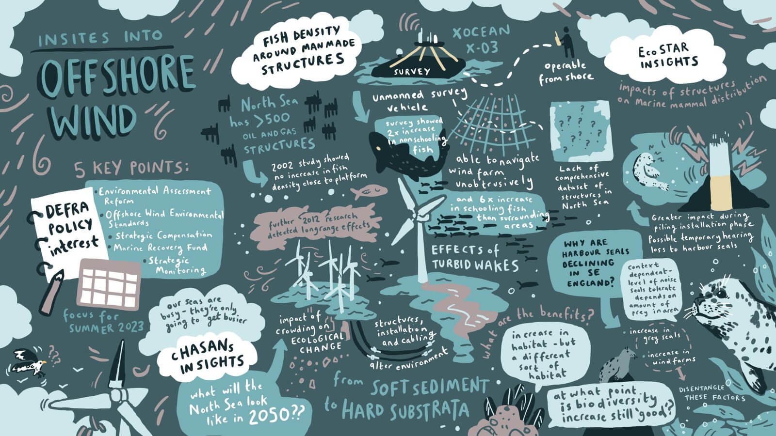 Webinar Series - INSITE North Sea